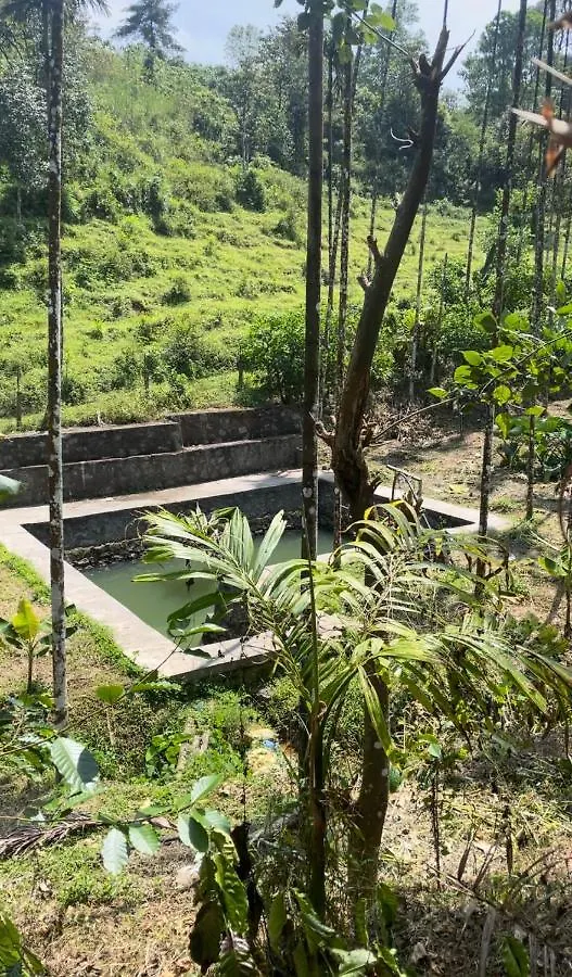 Pleasant Valley Home-Stay, Attapadi Attappadi 0*,  India